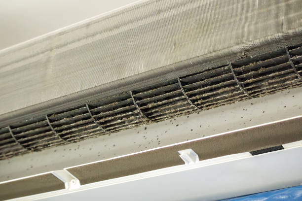 Best Dryer Vent Cleaning Services  in Imperial, NE